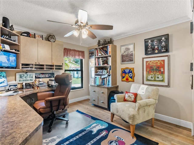 office featuring ornamental molding, a textured ceiling, and light wood finished floors