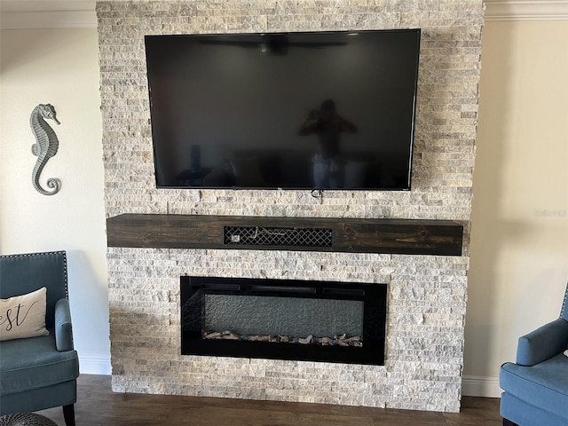 details featuring crown molding, a fireplace, baseboards, and wood finished floors