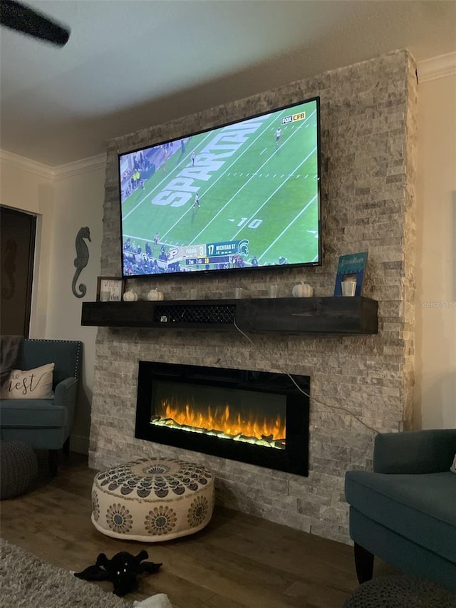 details featuring shuffleboard, ornamental molding, wood finished floors, and a stone fireplace