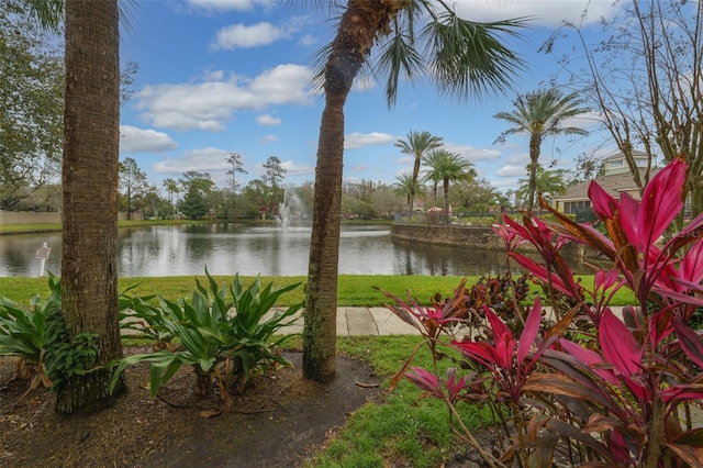 property view of water