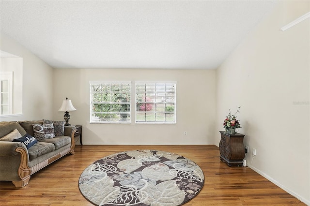 living area featuring wood finished floors