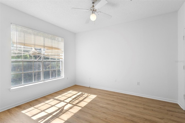 13037 Mulberry Park Dr Unit 529, Orlando, FL 32821 - spare room with wood finished floors, a ceiling fan, and a textured ceiling