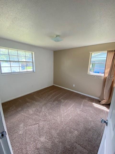 empty room featuring carpet flooring and a textured ceiling