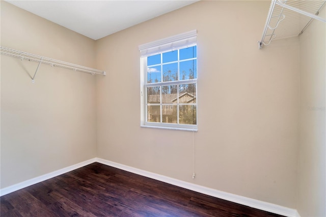 spacious closet featuring dark wood-style flooring