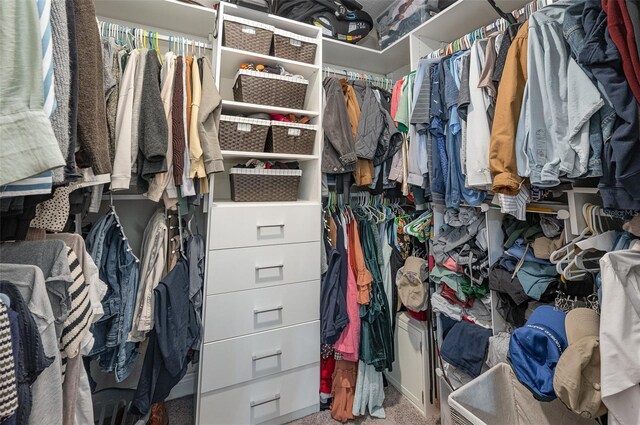 walk in closet with carpet flooring