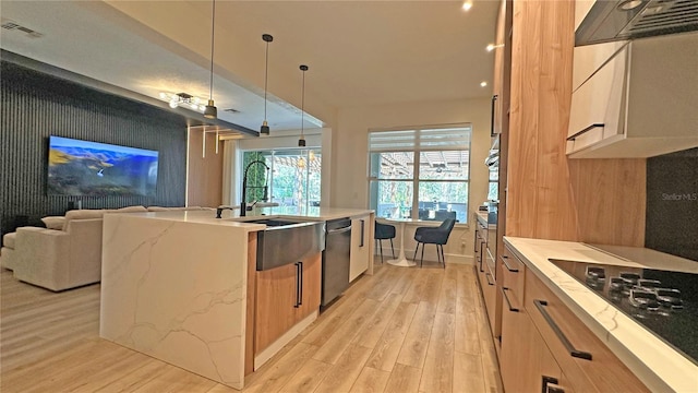 kitchen with light wood-type flooring, range hood, appliances with stainless steel finishes, and pendant lighting