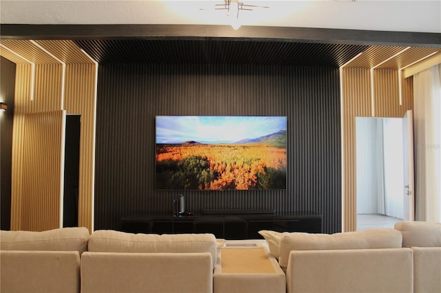 view of home theater