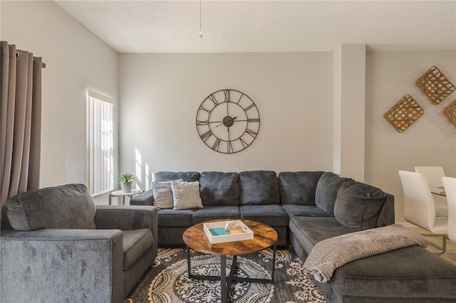 living area with a textured ceiling