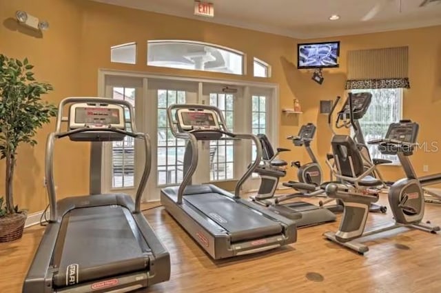 gym featuring wood finished floors