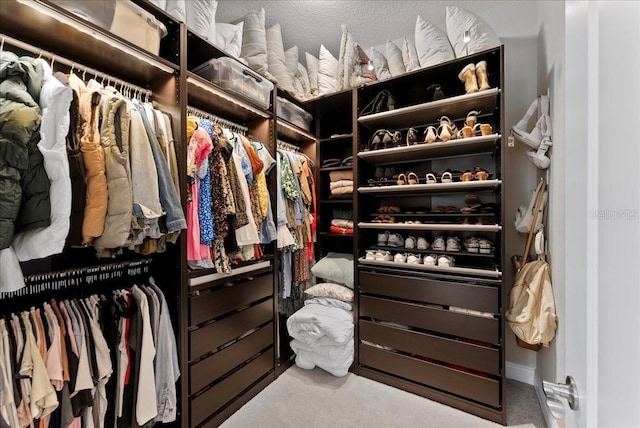 spacious closet featuring carpet flooring