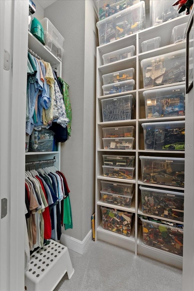 spacious closet featuring carpet