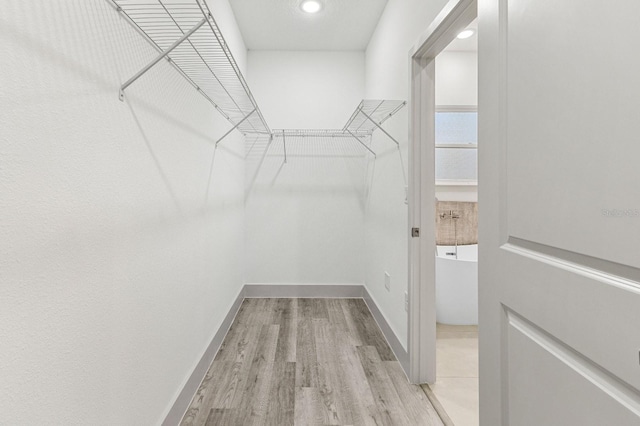 spacious closet featuring wood finished floors