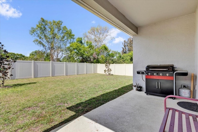 view of yard with a patio and a fenced backyard