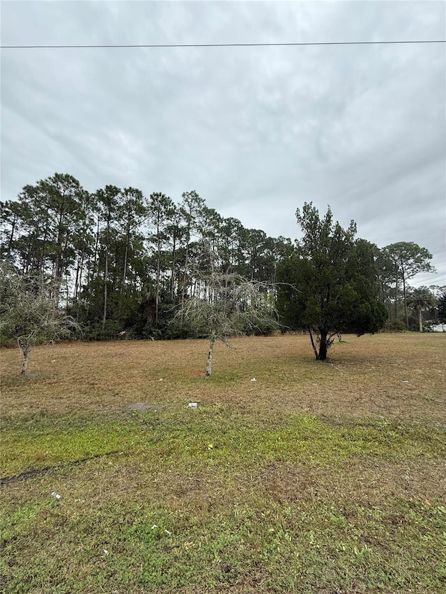 245 Ullian Trl, Palm Coast FL, 32164 land for sale