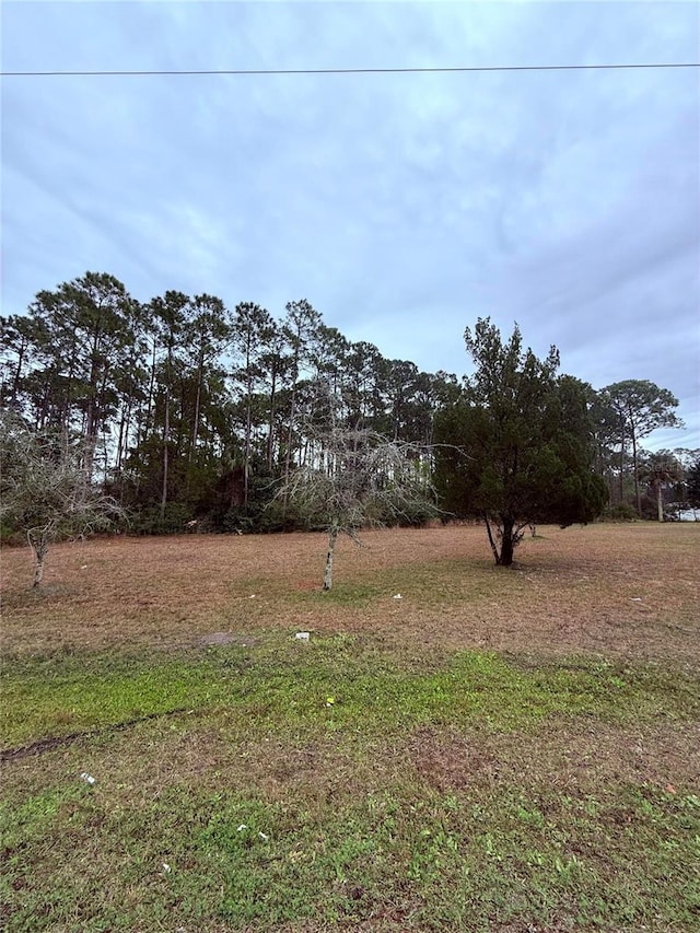 Listing photo 2 for 245 Ullian Trl, Palm Coast FL 32164