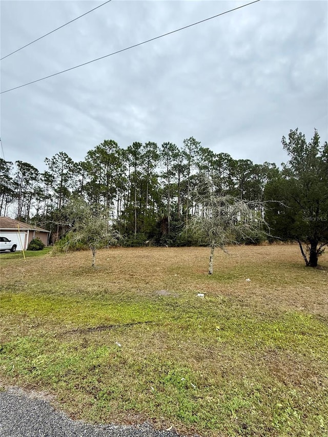 Listing photo 3 for 245 Ullian Trl, Palm Coast FL 32164