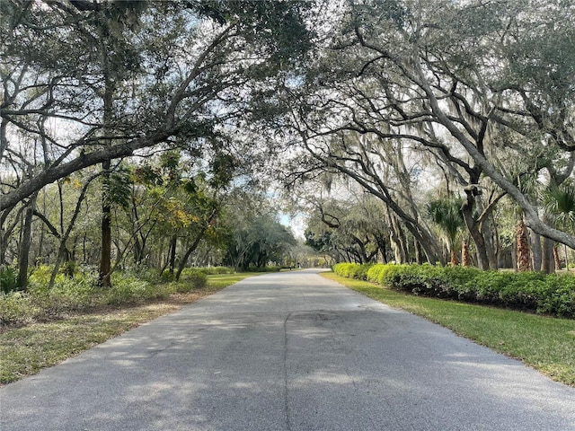 view of street