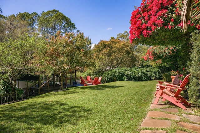 view of yard featuring a patio