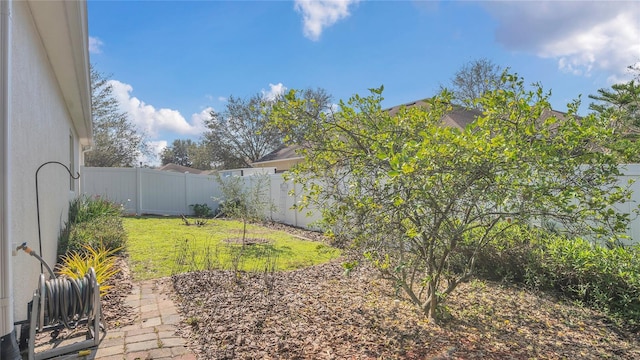 view of yard featuring a fenced backyard