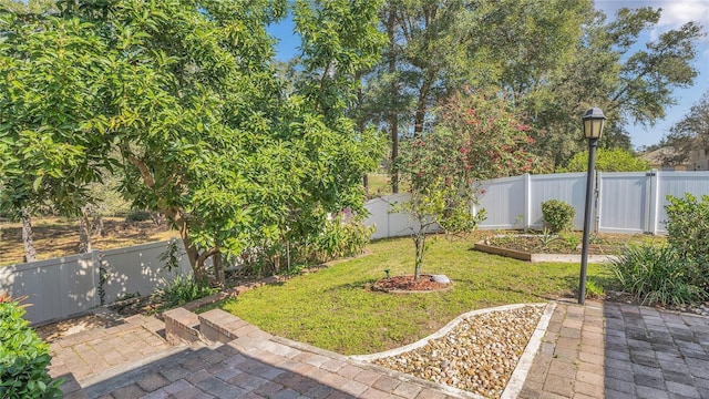 view of yard featuring a patio area and a fenced backyard