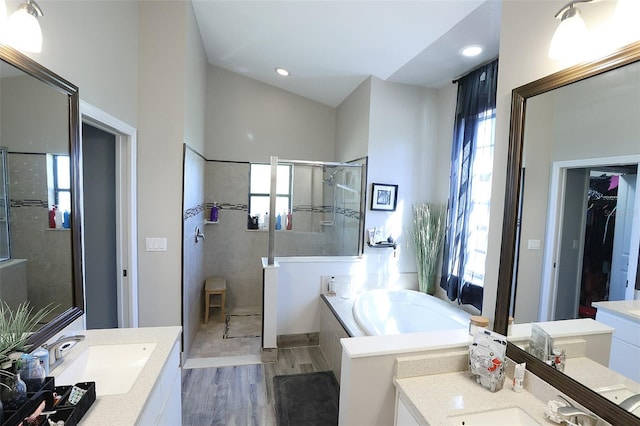 bathroom featuring a spacious closet, a shower stall, vanity, and a healthy amount of sunlight