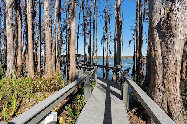 5524 Sail Ct, Orlando, FL 32819 - dock with a water view