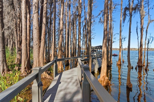 5524 Sail Ct, Orlando, FL 32819 - dock with a water view