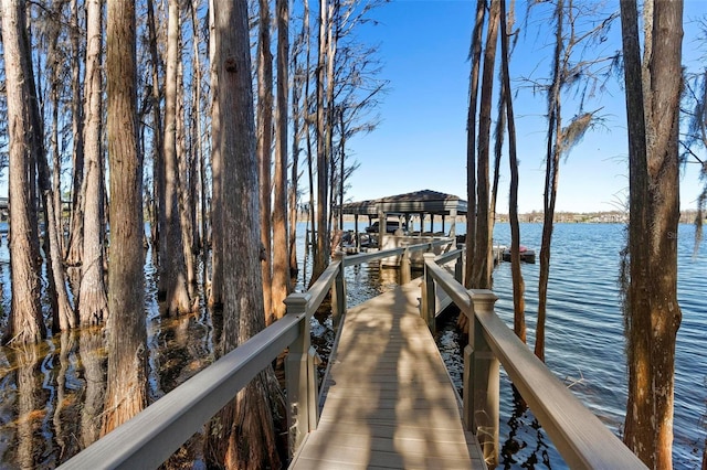 5524 Sail Ct, Orlando, FL 32819 - dock area with a water view