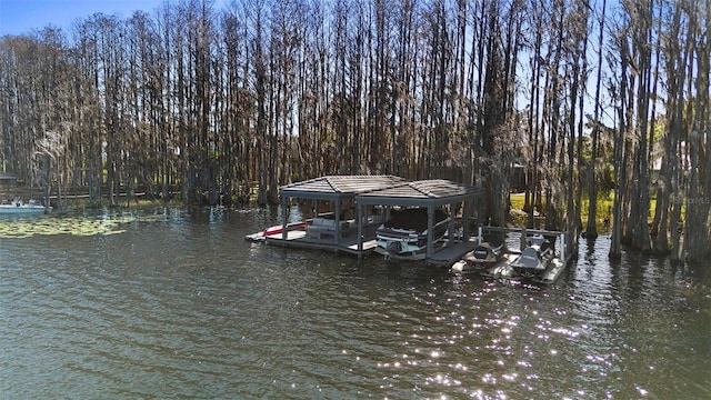 5524 Sail Ct, Orlando, FL 32819 - dock with a water view