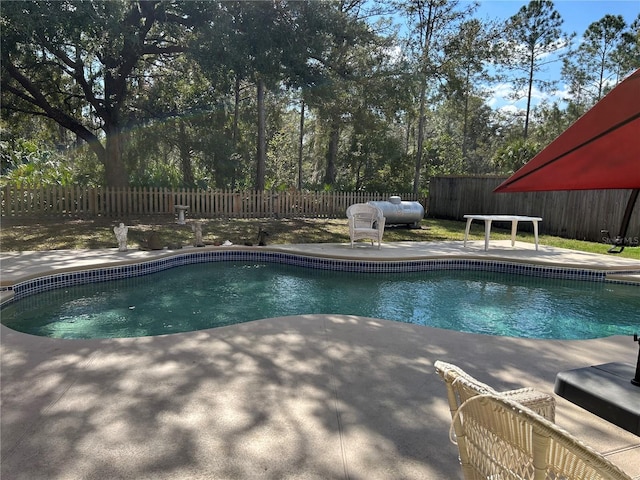 view of swimming pool with a patio, a fenced backyard, and a fenced in pool