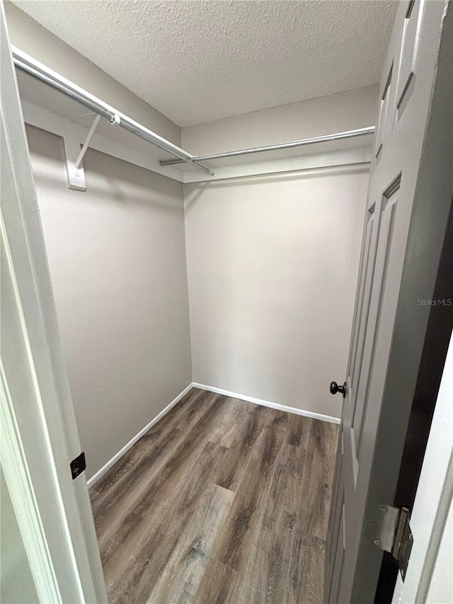 spacious closet featuring dark wood-type flooring