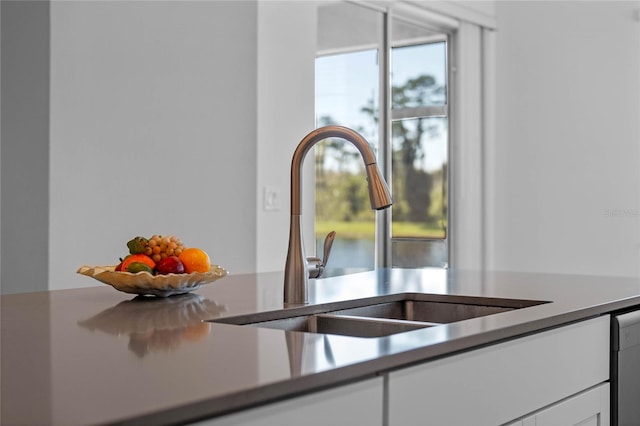 interior details featuring a sink, white cabinets, and light countertops