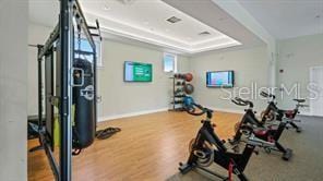 exercise room featuring baseboards, a raised ceiling, and wood finished floors