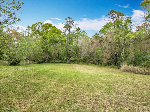 15523 Old Cheney Hwy, Orlando, FL 32828 - view of grassy yard with a wooded view