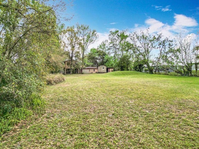 15523 Old Cheney Hwy, Orlando, FL 32828 - view of green lawn with an outbuilding