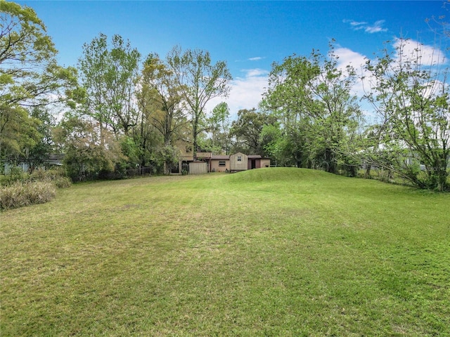 15523 Old Cheney Hwy, Orlando, FL 32828 - view of yard