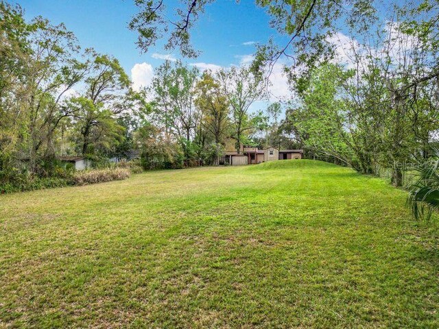 15523 Old Cheney Hwy, Orlando, FL 32828 - view of grassy yard