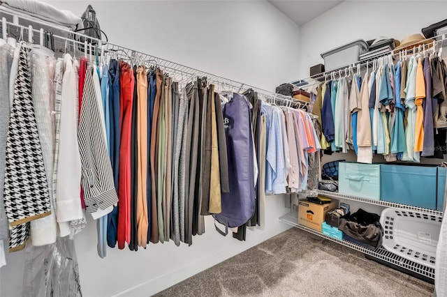 spacious closet featuring carpet