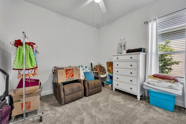 sitting room featuring carpet flooring