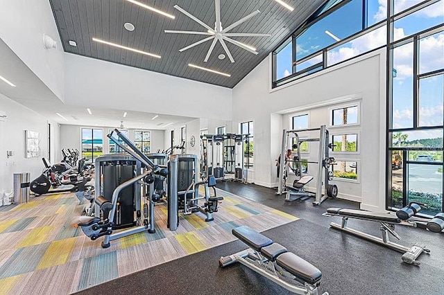 exercise room with a high ceiling, a healthy amount of sunlight, and baseboards