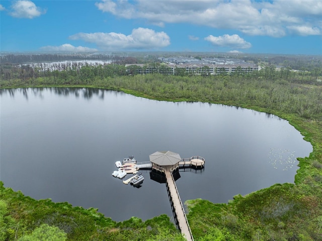 aerial view with a water view