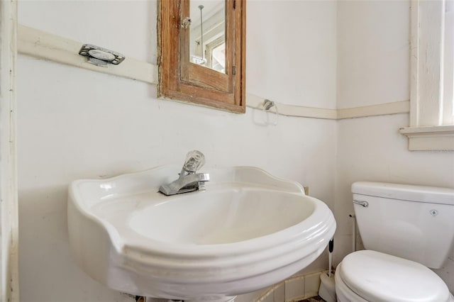 half bathroom featuring a sink and toilet