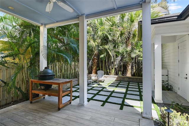 exterior space featuring a wealth of natural light and ceiling fan