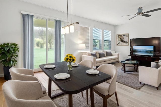 dining area with light wood-type flooring and ceiling fan