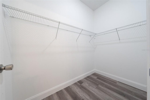 spacious closet with wood finished floors