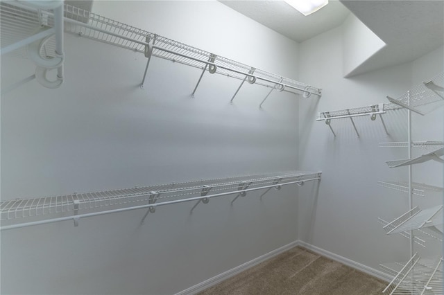 walk in closet featuring carpet