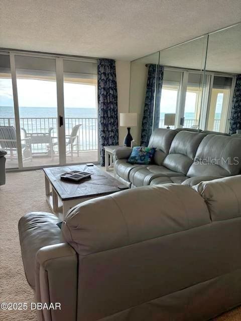 living area with carpet, a water view, and a textured ceiling