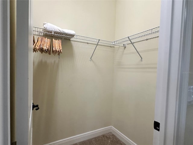 walk in closet featuring carpet flooring