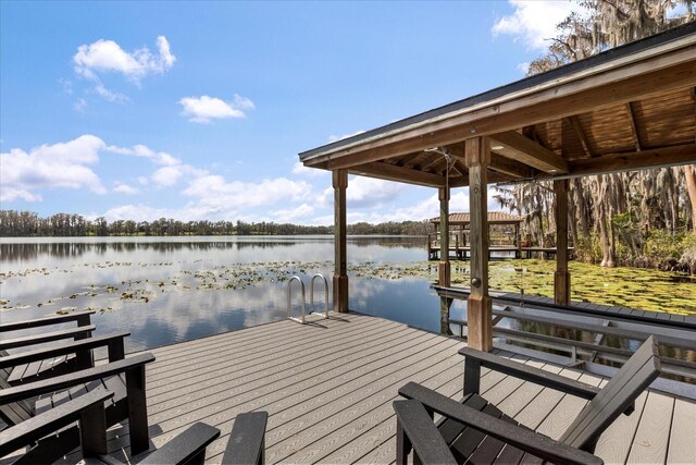 dock area with a water view