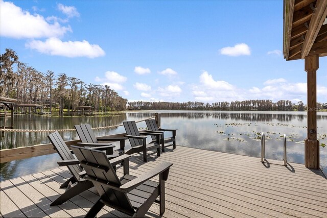 dock area with a water view